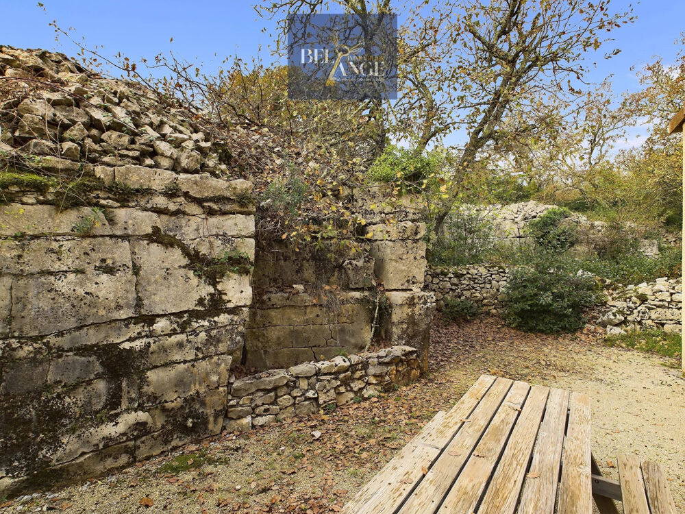  vendre  Proprit/chteau Saint-Alban-Auriolles (07120)