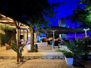  Propriété/château à vendre 1165 m²