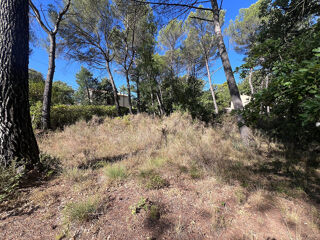  Terrain � vendre 983 m�