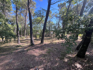  Terrain � vendre 983 m�