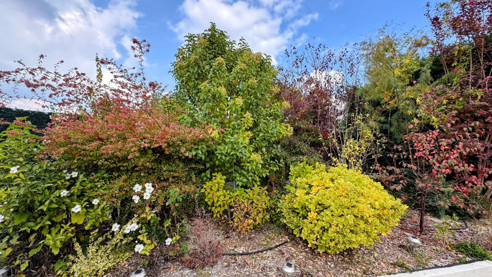  vendre  Maison Chteauneuf-le-Rouge (13790)