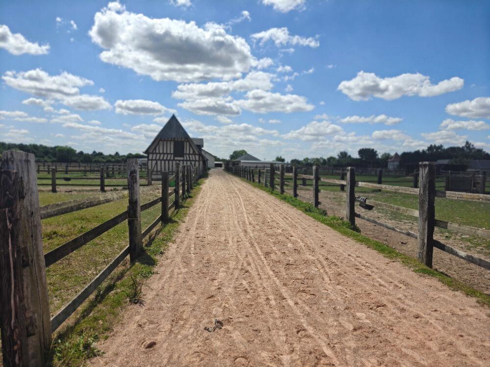 à vendre  Propriété/château Bernay (27300)