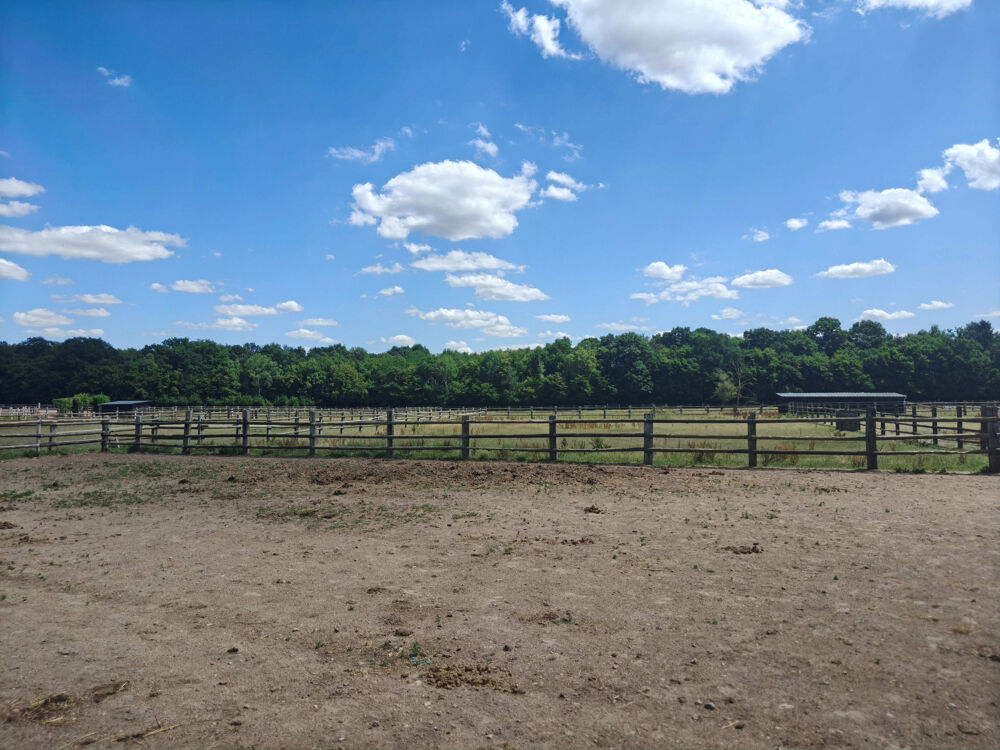 à vendre  Propriété/château Bernay (27300)