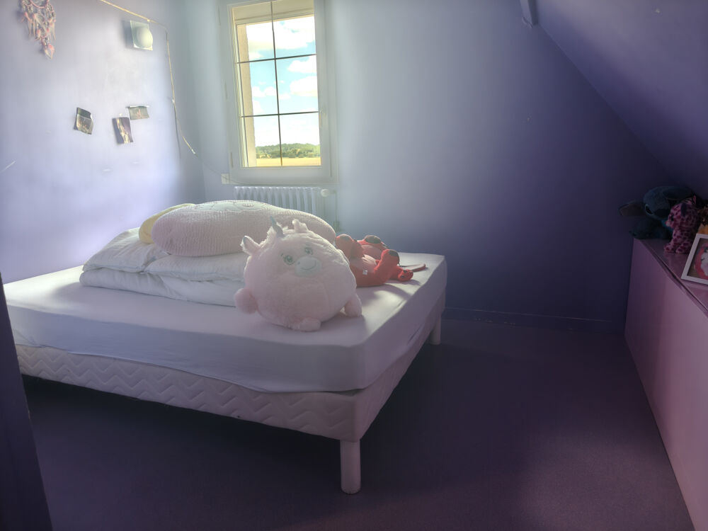 à vendre  Propriété/château Bernay (27300)