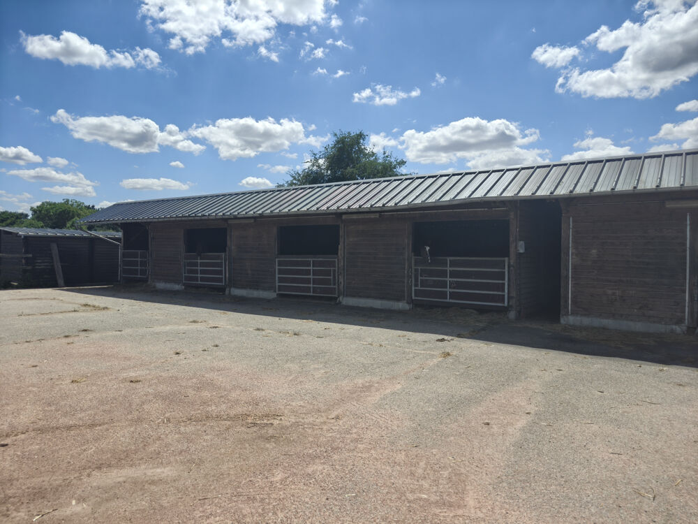 à vendre  Propriété/château Bernay (27300)