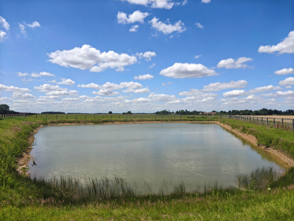 à vendre  Propriété/château Bernay (27300)