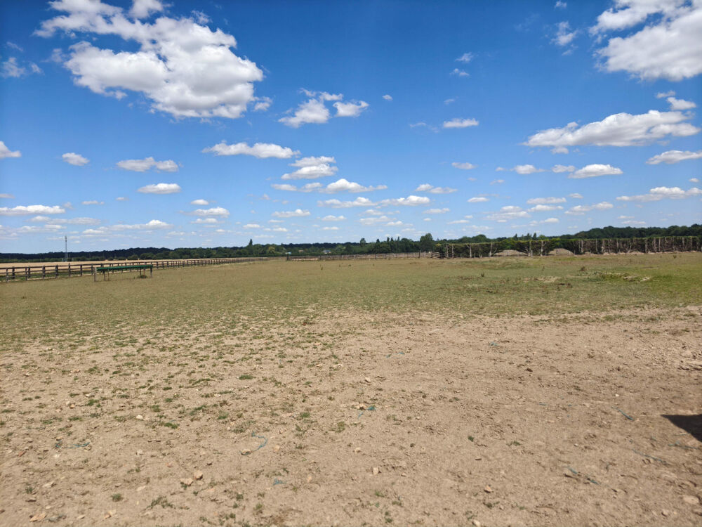 à vendre  Propriété/château Bernay (27300)