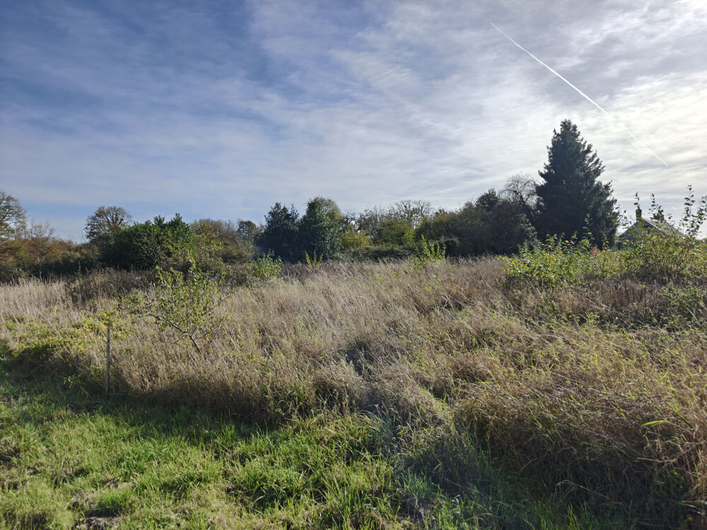 Vente Terrain TERRAIN A BATIR La vespiere-friardel