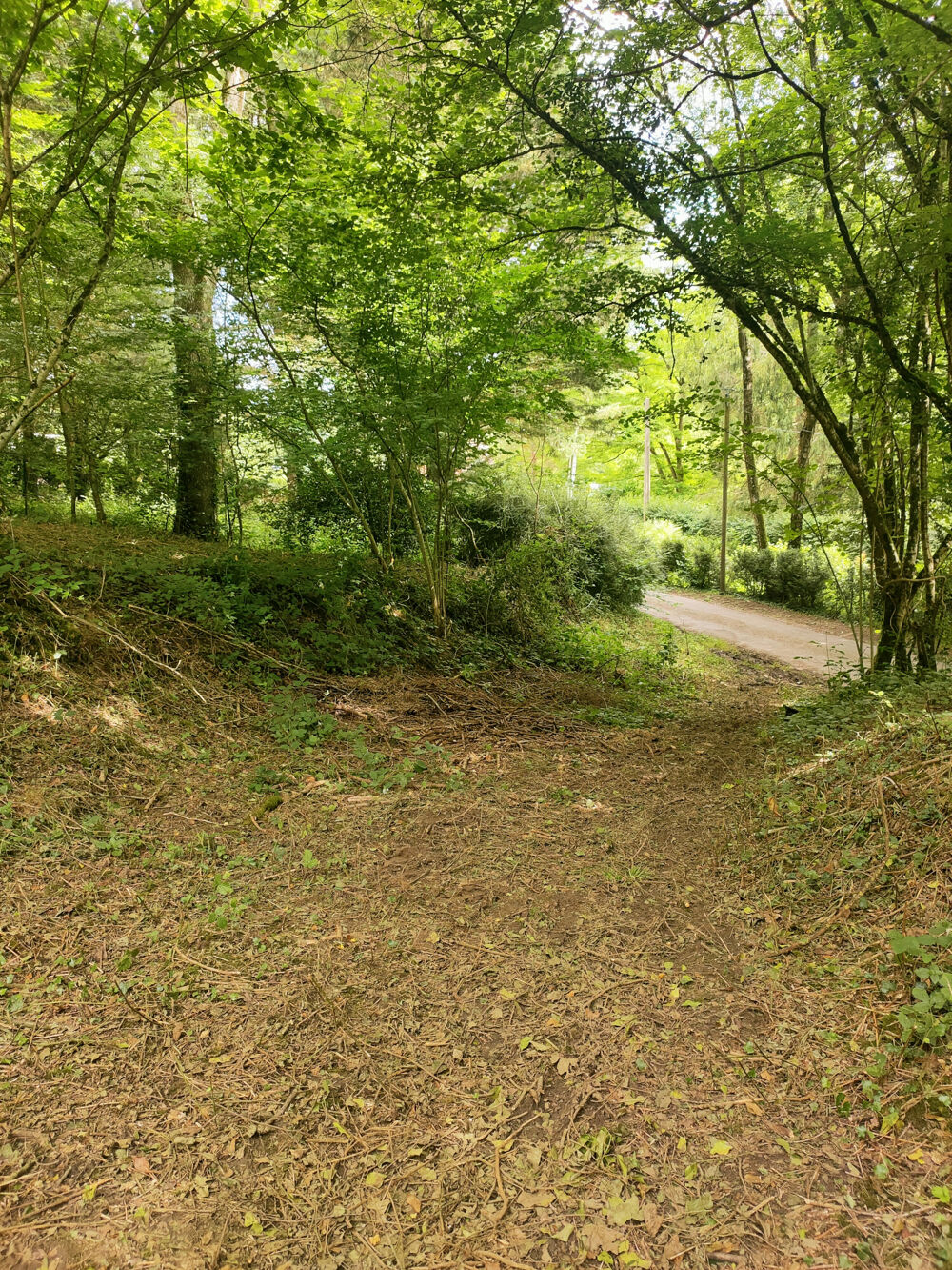 Vente Terrain Terrain à bâtir Montreuil l argille