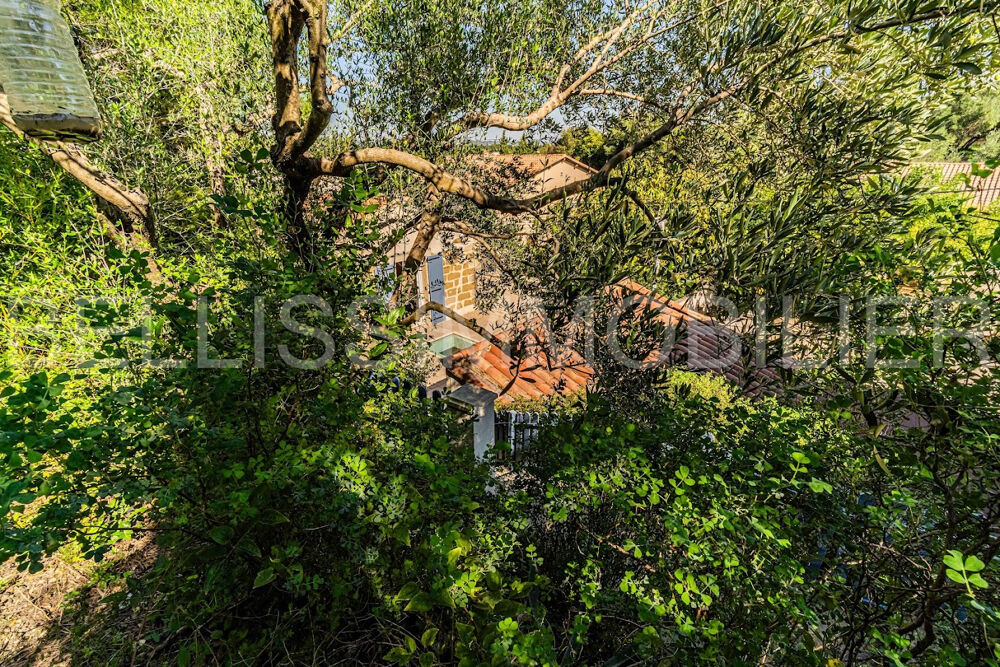 Vente Maison Maison de village avec jardin et piscine Avignon