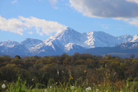   Vaste Proprit SAINT MARTIN  MOMERES 65 360 Proprit/chteau - 6 pice(s) - 250 m