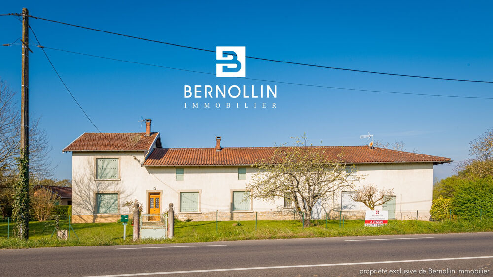 Vente Maison Maison avec 2 logements indépendants 199 m2 sur terrain 1,4 ha - Attignat Sud Attignat