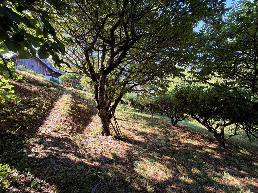 Vente Terrain À VENDRE   EXCLUSIVITÉ  (73) SAINT-JULIEN-MONT-DENIS   TERRAIN DE 1 446 m2 DONT 760 m2 CONSTRUCTIBLES St julien mont denis