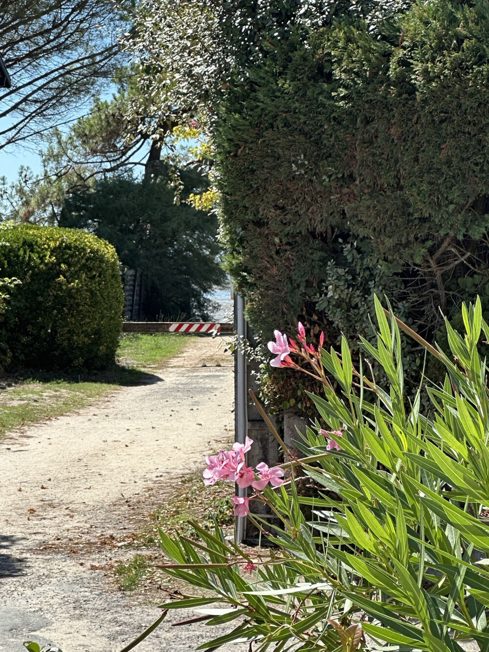 À 50 mètres du bassin T3 avec jardin privatif