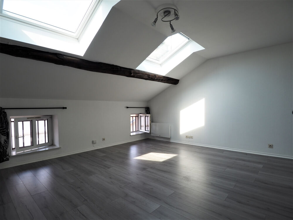 Location Appartement RUE PIERRE DE BLARRU Nancy