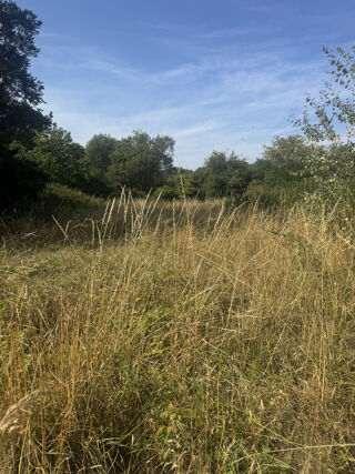  Terrain à vendre 1800 m²
