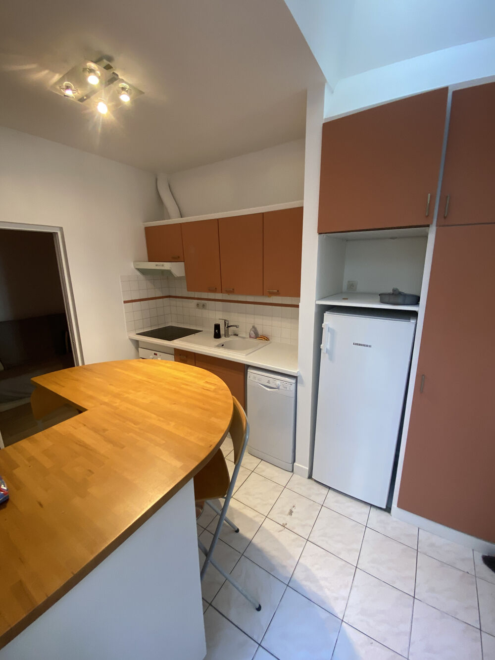 Vente Appartement VINCENNES - Rue de la Prévoyance - 2/3 pièces atypique avec terrasse arborée Vincennes