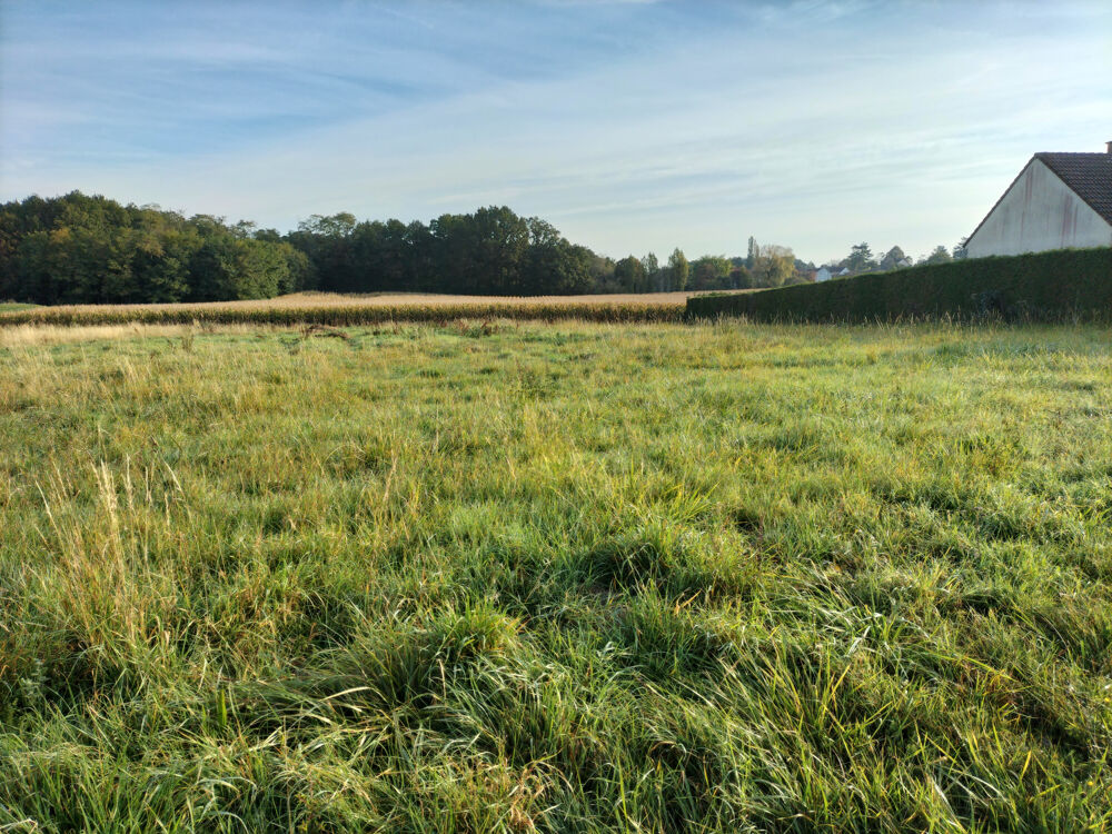 Vente Terrain TERRAIN 1647m2 CONSTRUCTIBLE ET VIABILISE 10MIN OUEST DE SENS Sens