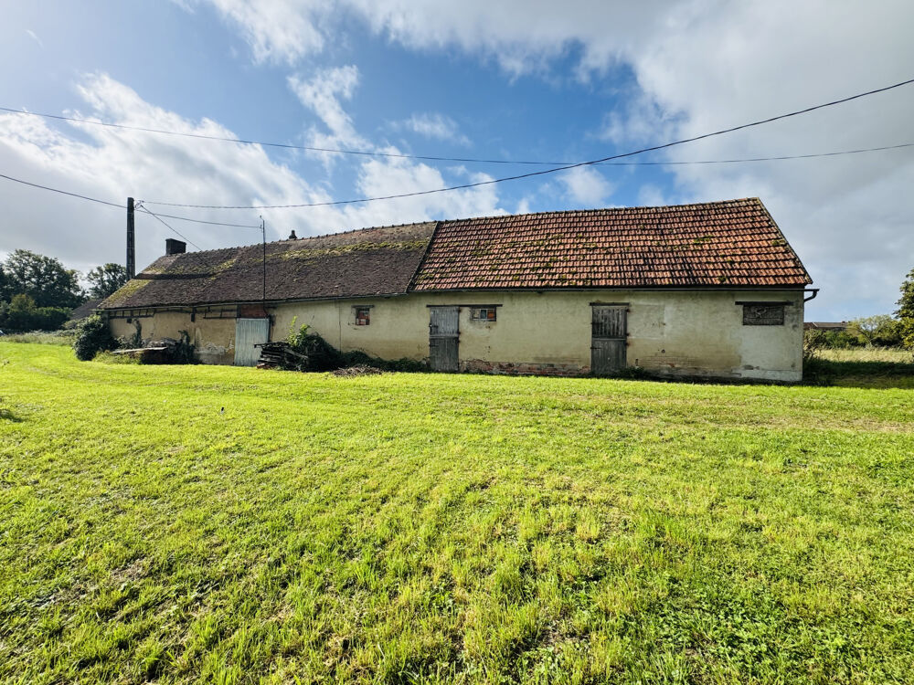 Vente Maison FERME A RENOVER, LONGERES, VILLEMOUTIERS, CALME, FORT POTENTIEL, GRAND TERRAIN. Villemoutiers