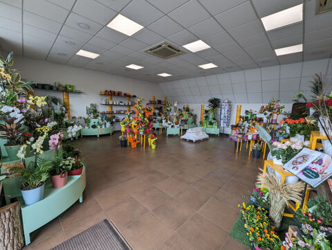   Magasin de fleurs en zone commerciale 