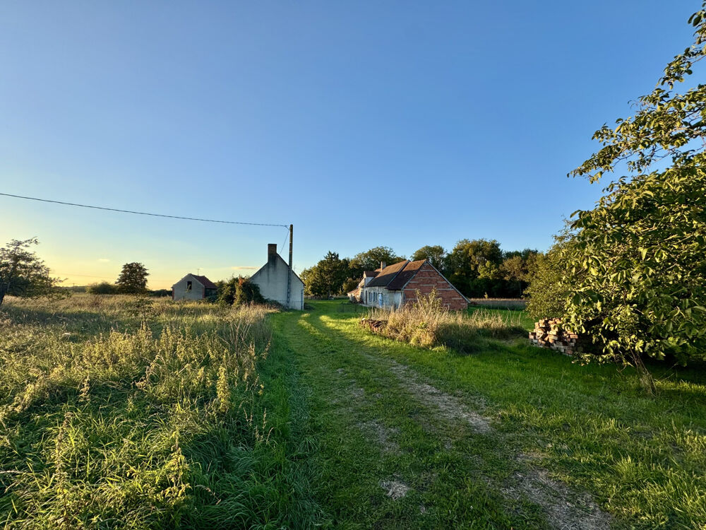 Vente Maison FERME A RENOVER, LONGERES, VILLEMOUTIERS, CALME, FORT POTENTIEL, GRAND TERRAIN. Villemoutiers