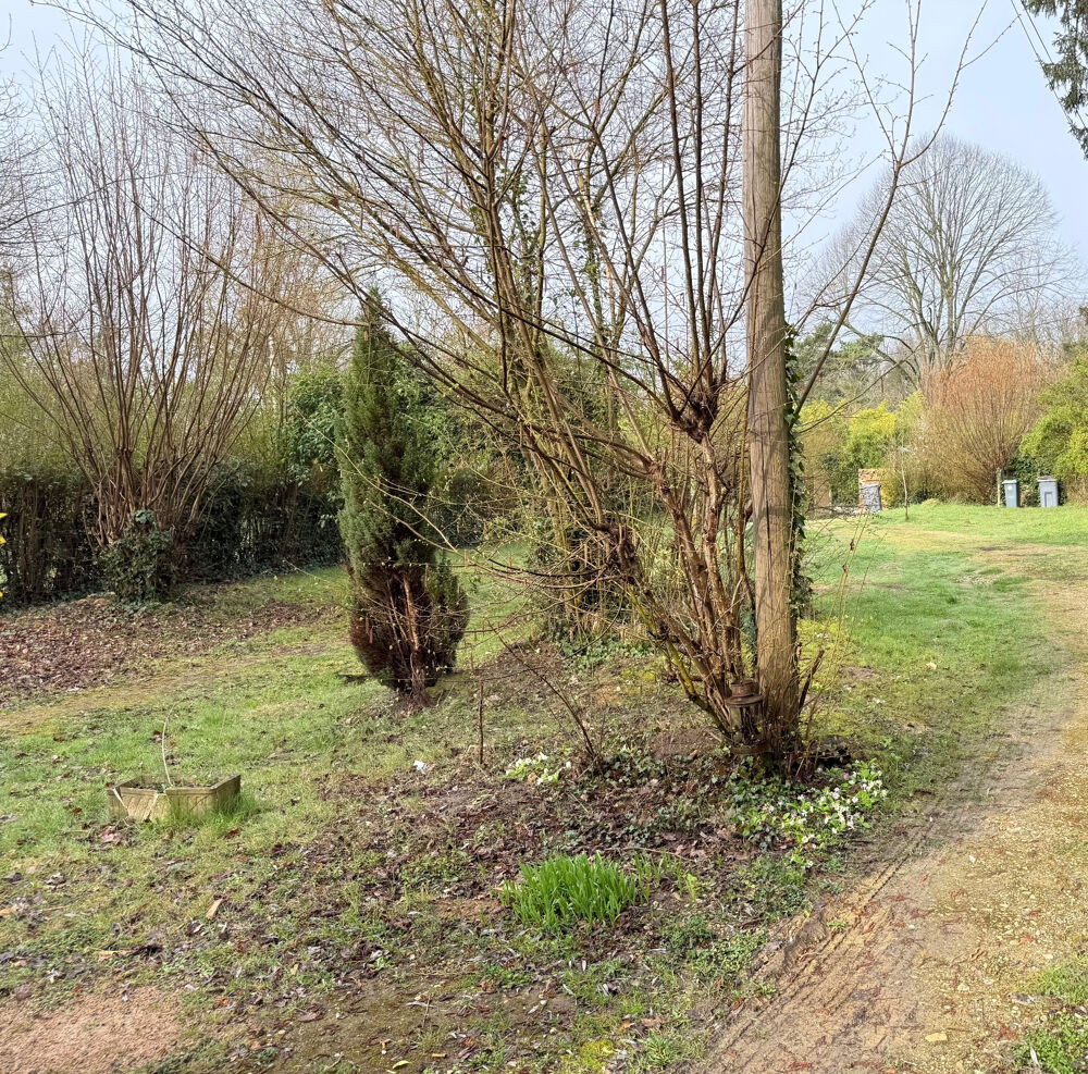 Vente Terrain Terrain à bâtir rare au calme absolu   519 m2 à Vulaines-sur-Seine Vulaines sur seine