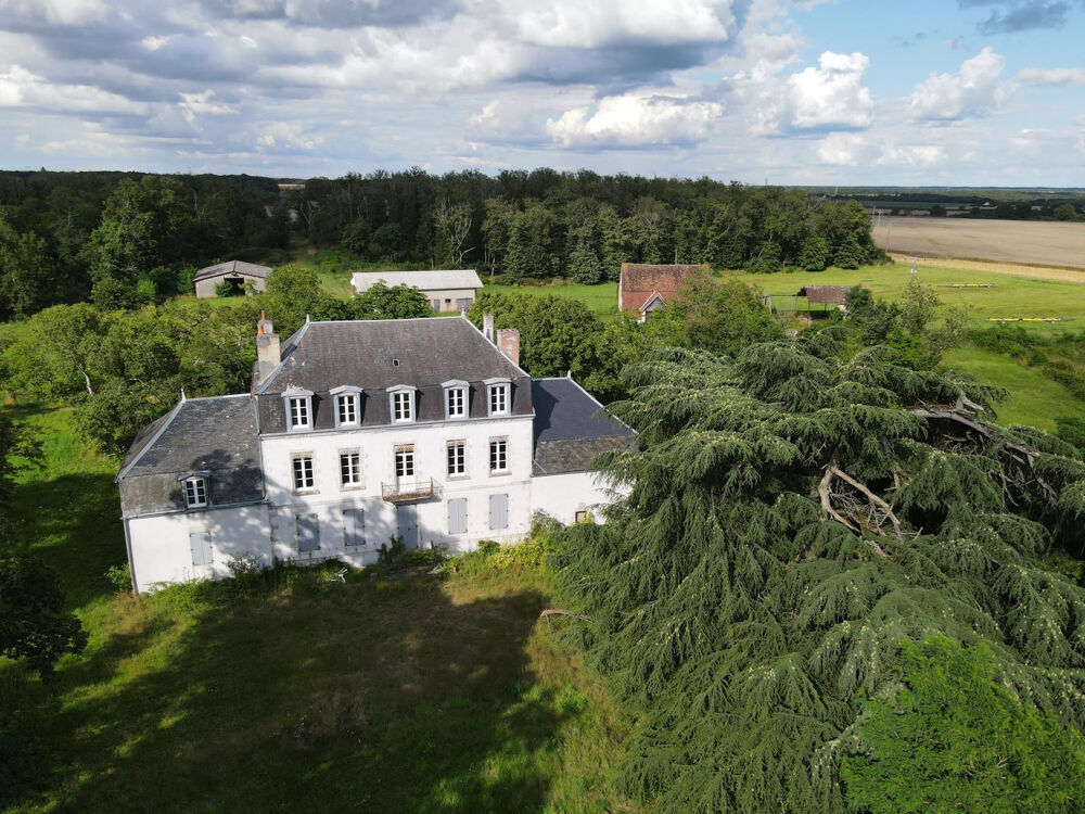 MAISON BOURGEOISE, MAISON ATYPIQUE, CACHET D'ANTAN, GRAND TERRAIN + de 20 ha, DEPENDANCES, CALME.