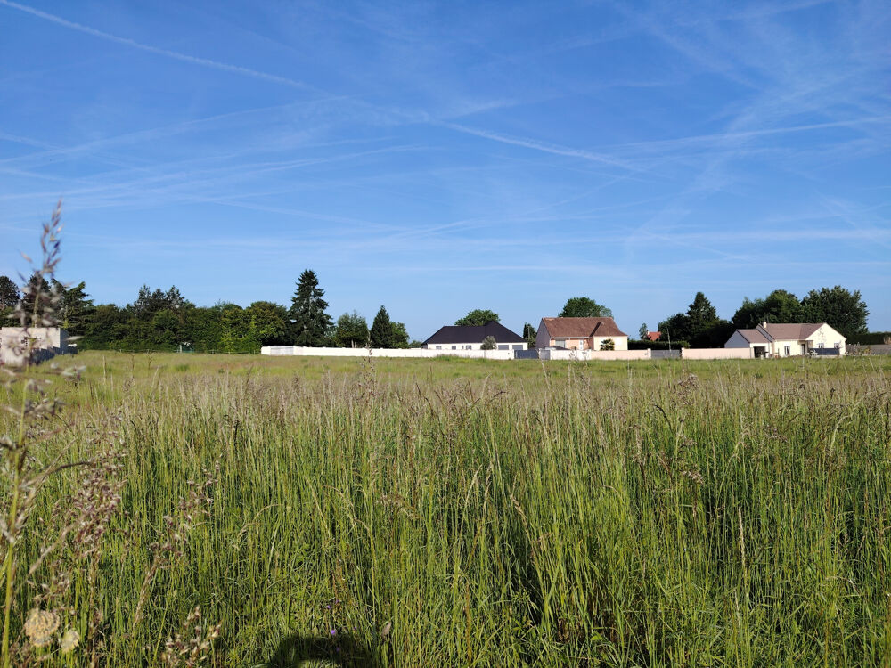 Vente Terrain TERRAIN CONSTRUCTIBLE PLAT DE 1727M2, 15 MINUTES NORD DE SENS Pont sur yonne