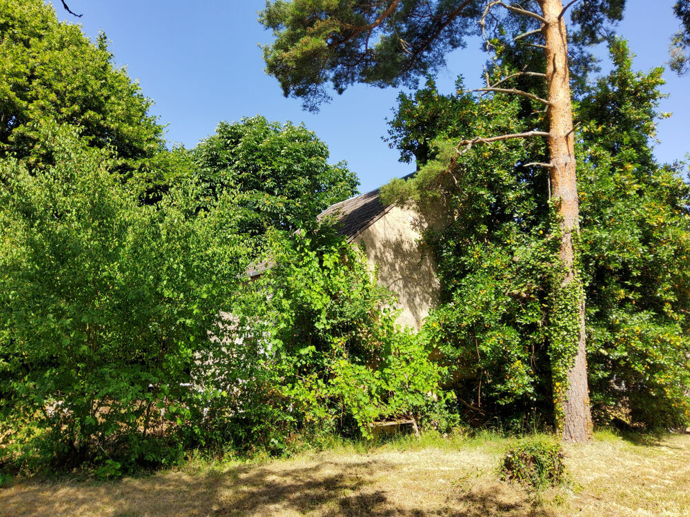Vente Maison LONGERE AVEC SA GRANGE, SON ANCIENNE ECURIE  ET SON TERRAIN CLOS DE 2 723 m2 Vaudeurs