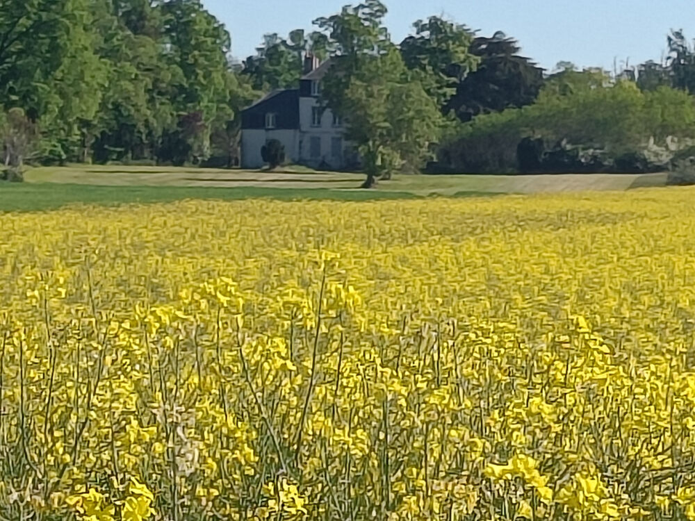 MAISON BOURGEOISE, MAISON ATYPIQUE, CACHET D'ANTAN, GRAND TERRAIN + de 20 ha, DEPENDANCES, CALME.