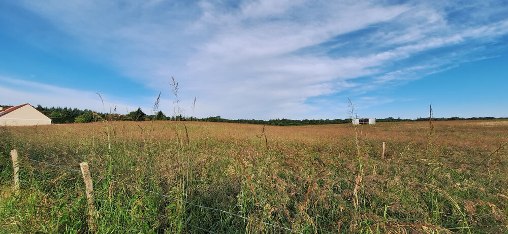 Vente Terrain CERISIERS,TERRAIN CONSTRUCTIBLE DE 1888M2 AU CALME AVEC UNE FACADE 40.20M. Cerisiers