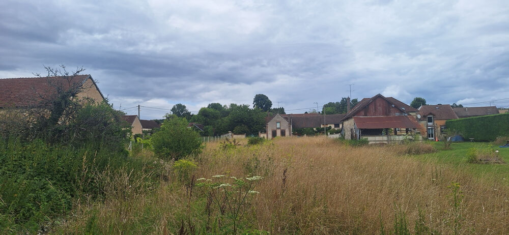 Vente Terrain TERRAIN CONSTRUCTIBLE A VULAINES 636 M2 Vulaines