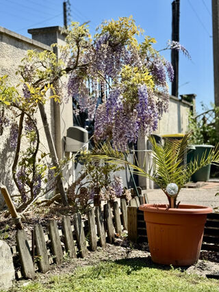  Maison � vendre 7 pi�ces 165 m�