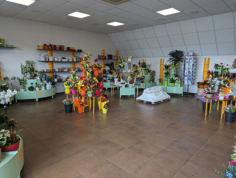   Magasin de fleurs en zone commerciale 