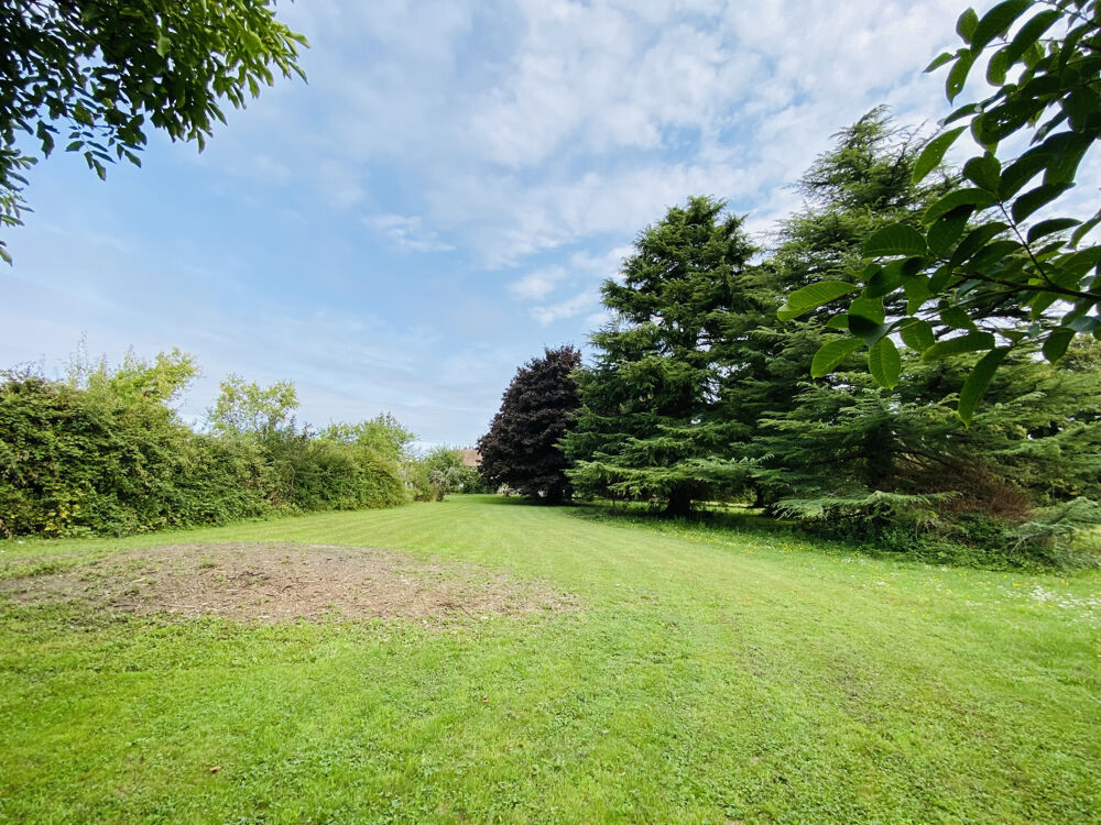 Vente Terrain Superbe terrain paysagé et arboré   3 679 m2 dont 874 m2 constructibles Villeblevin