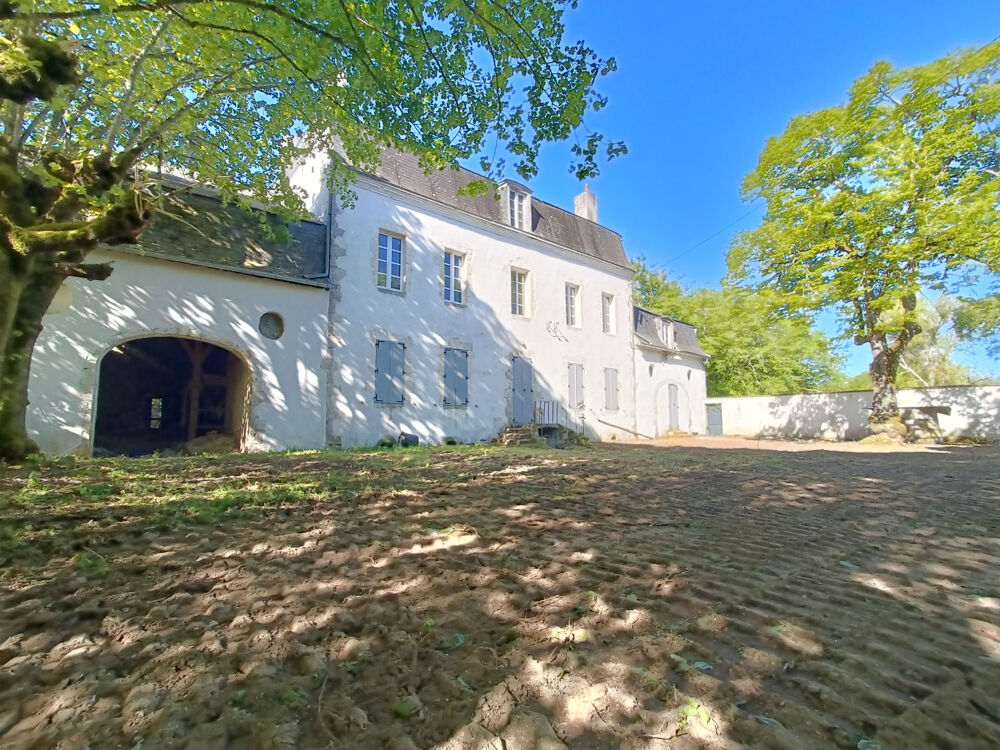 MAISON BOURGEOISE, MAISON ATYPIQUE, CACHET D'ANTAN, GRAND TERRAIN + de 20 ha, DEPENDANCES, CALME.