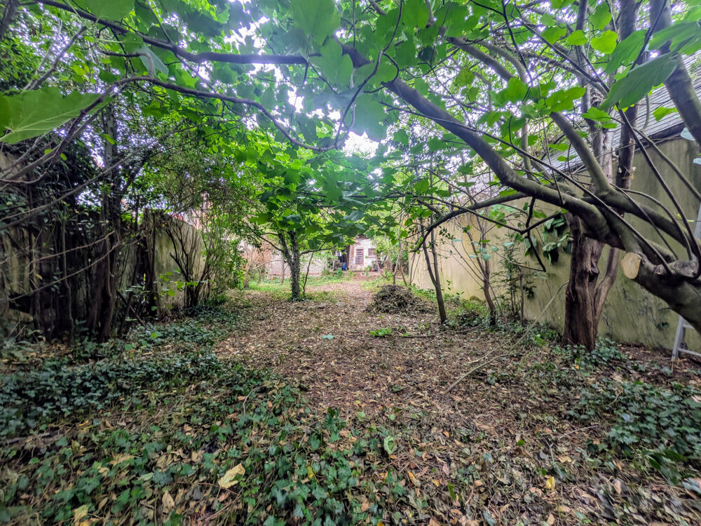Vente Maison Maison à rénover Ladon