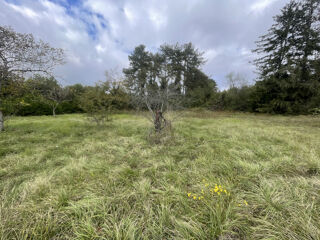  Terrain  vendre 3486 m