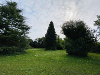  Terrain à vendre 1 pièce 3679 m²