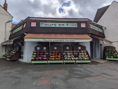   Deux magasins de fleurs 