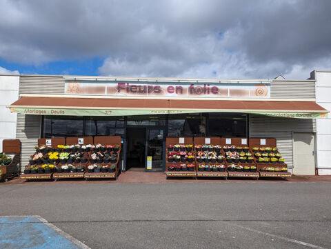 Magasin de fleurs en zone commerciale 102600 45200 Amilly