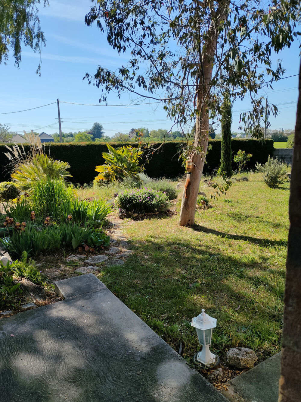 LONGERE 240m2 AVEC 163 M2 de GRANGE, GRAND POTENTIEL, BEAU TERRAIN, PUIT, DIVISIBLE, INVESTISSEMENT