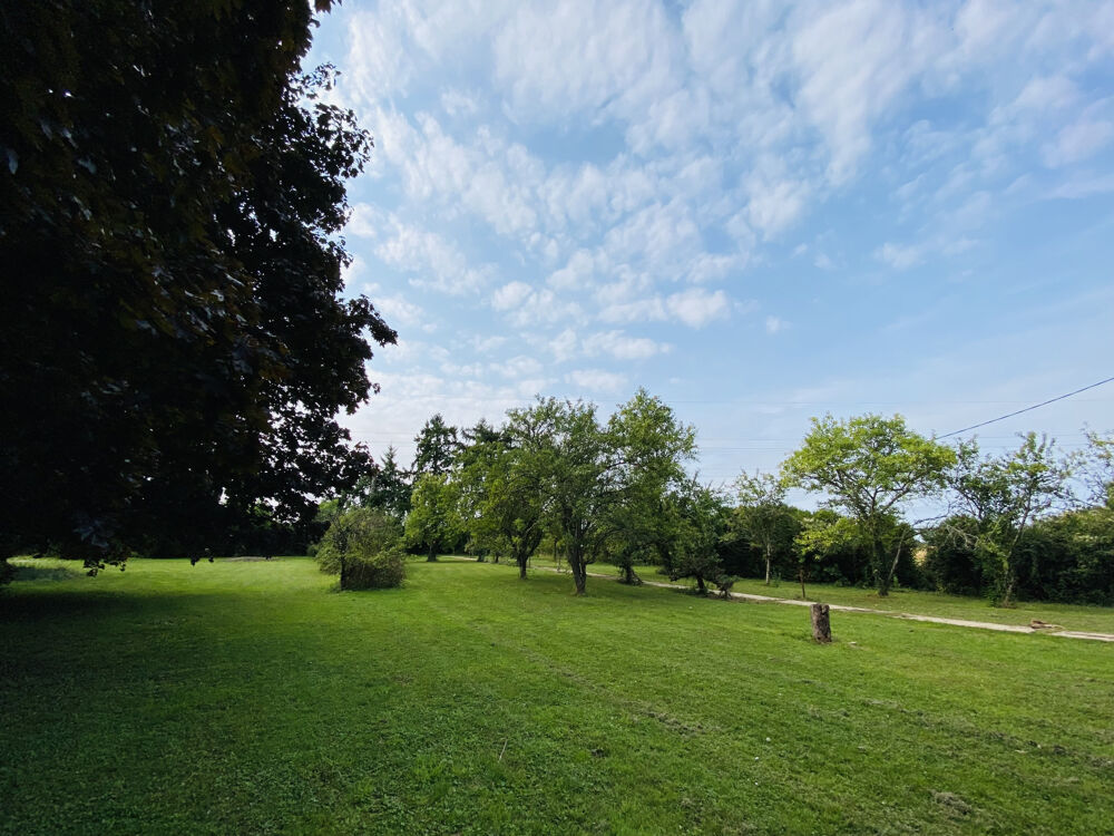 Vente Terrain Superbe terrain paysagé et arboré   3 679 m2 dont 874 m2 constructibles Villeblevin
