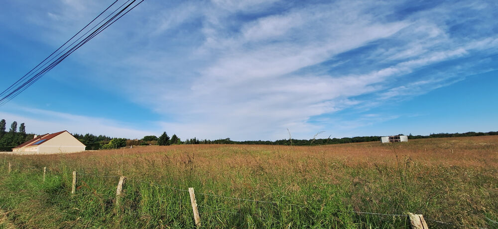 Vente Terrain CERISIERS,TERRAIN CONSTRUCTIBLE DE 1888M2 AU CALME AVEC UNE FACADE 40.20M. Cerisiers