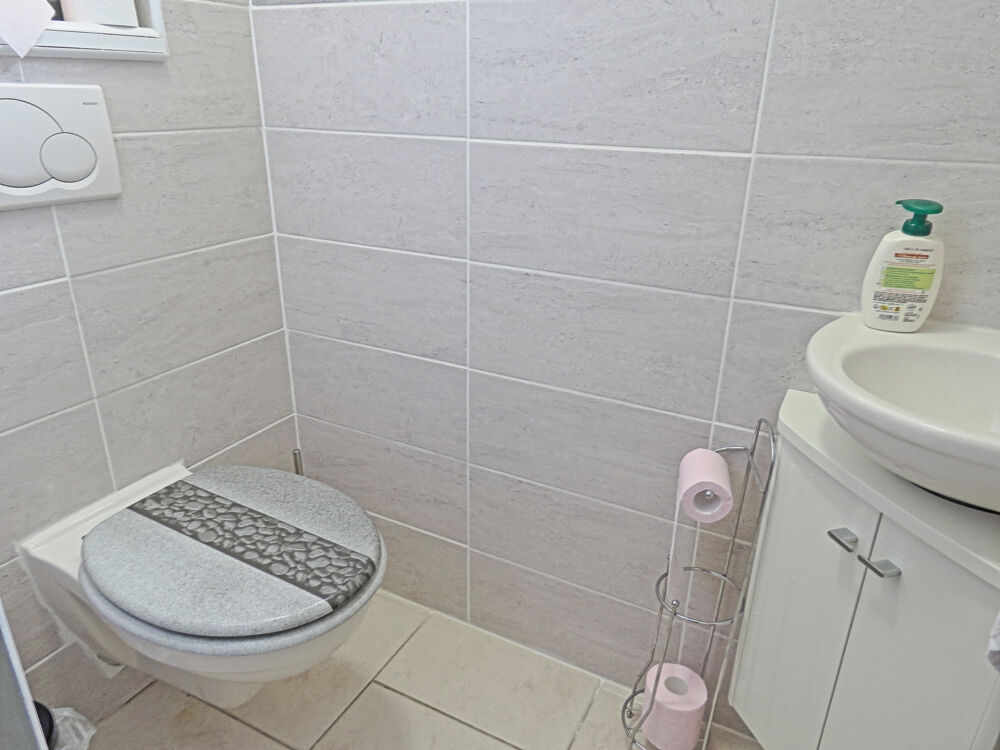  vendre  Maison Les Choux (45290)