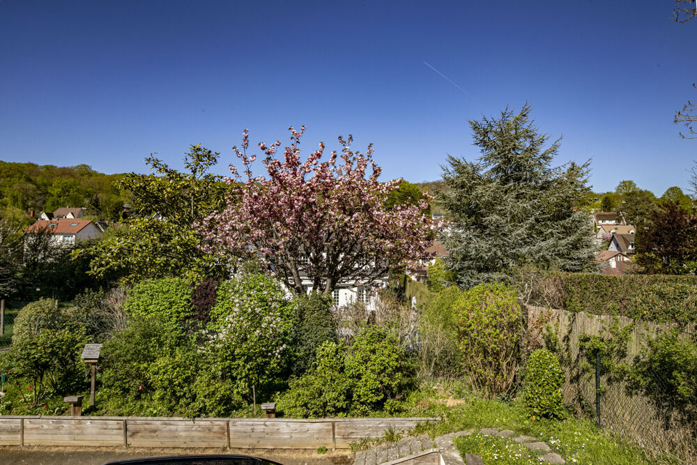 � vendre  Maison L'�tang-la-Ville (78620)