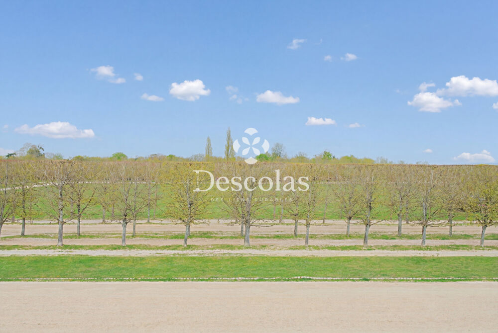 � vendre  Appartement Saint-Germain-en-Laye (78100)