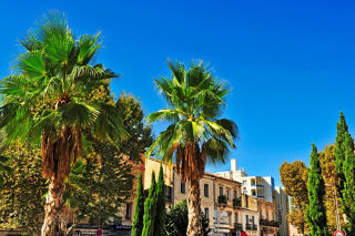  Appartement � vendre 1 pi�ce 22 m�