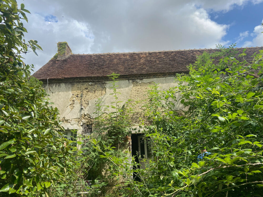 TREIGNY, Longère à rénover en totalité à saisir !!!