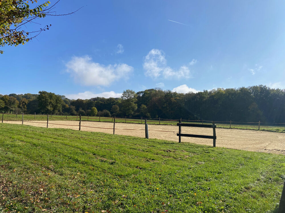 Vente Maison Idéal pour chevaux et animaux, à  9 mn de TOUCY, sur 3 HA 4, Venez découvrir cette jolie Maison de 240 m2 idpr Toucy
